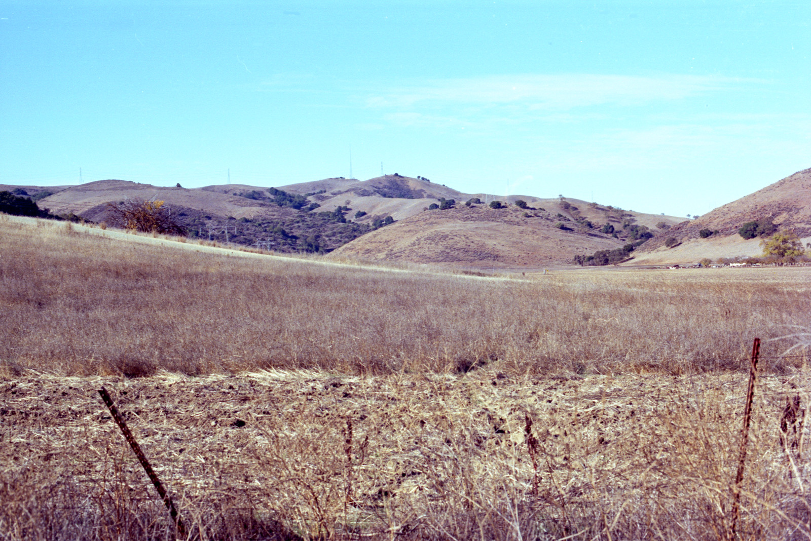Pasture along Bailey Avenue.
