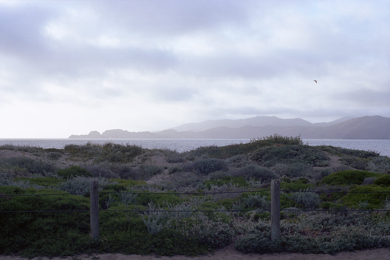 Fog and seagull at Baker Beach, San Francisco.