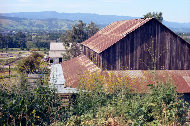 Basilica barn with rusted corrugated iron roof, garden and grasses foreground. In the distance, the valley, then a range of hills, and far distant the coast range, all in winter green. Santa Clara County.