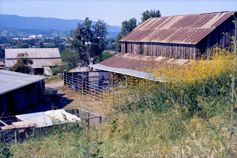 Basilica barn with rusted corrugated iron roof, garden and grasses foreground. In the distance, the valley, then a range of hills, and far distant the coast range, all in winter green. Santa Clara County.