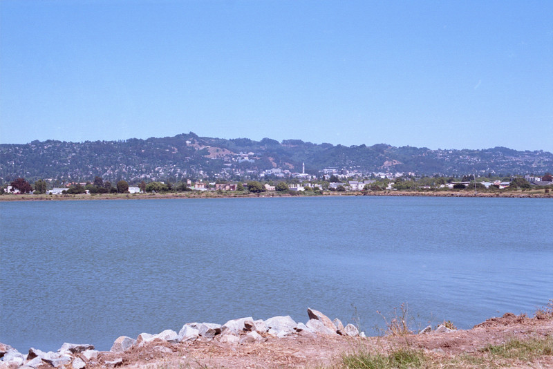 By the Bay Campanile - view from Berkeley Marina of the Cal Campanile