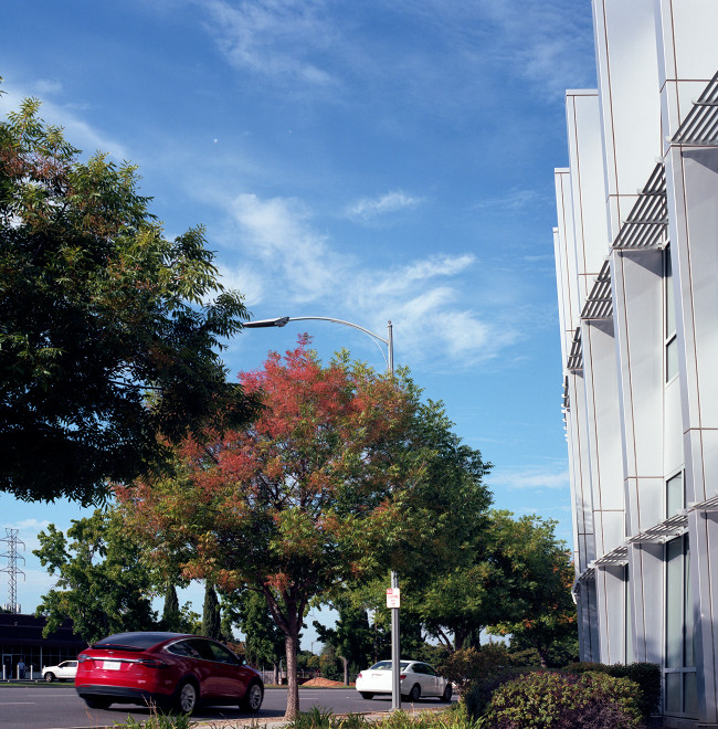 Cambrian branch of San Jose public library