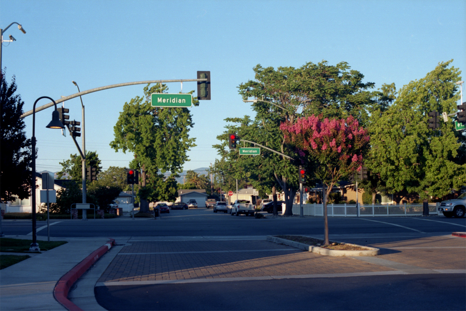 Intersection at shopping center where crepe myrtle trees are in bloom
