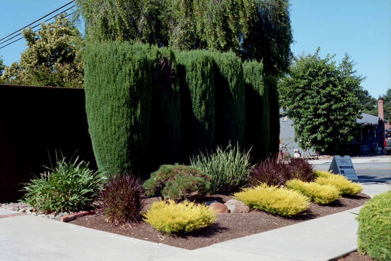 Elegant garden on the corner, Campbell