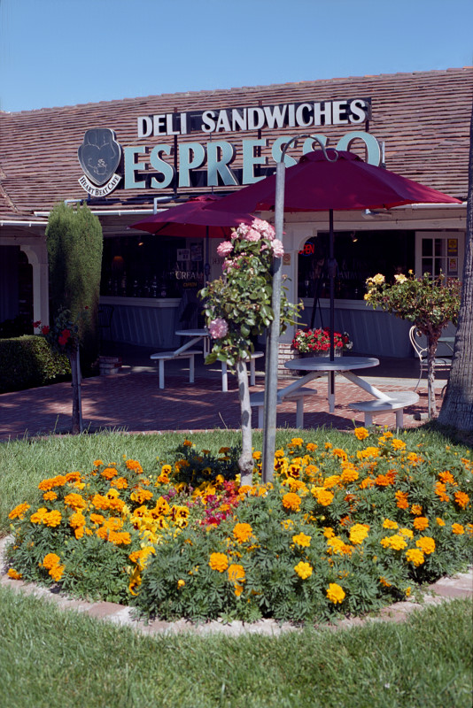 Heartbeat Cafe, Cambrian, San Jose