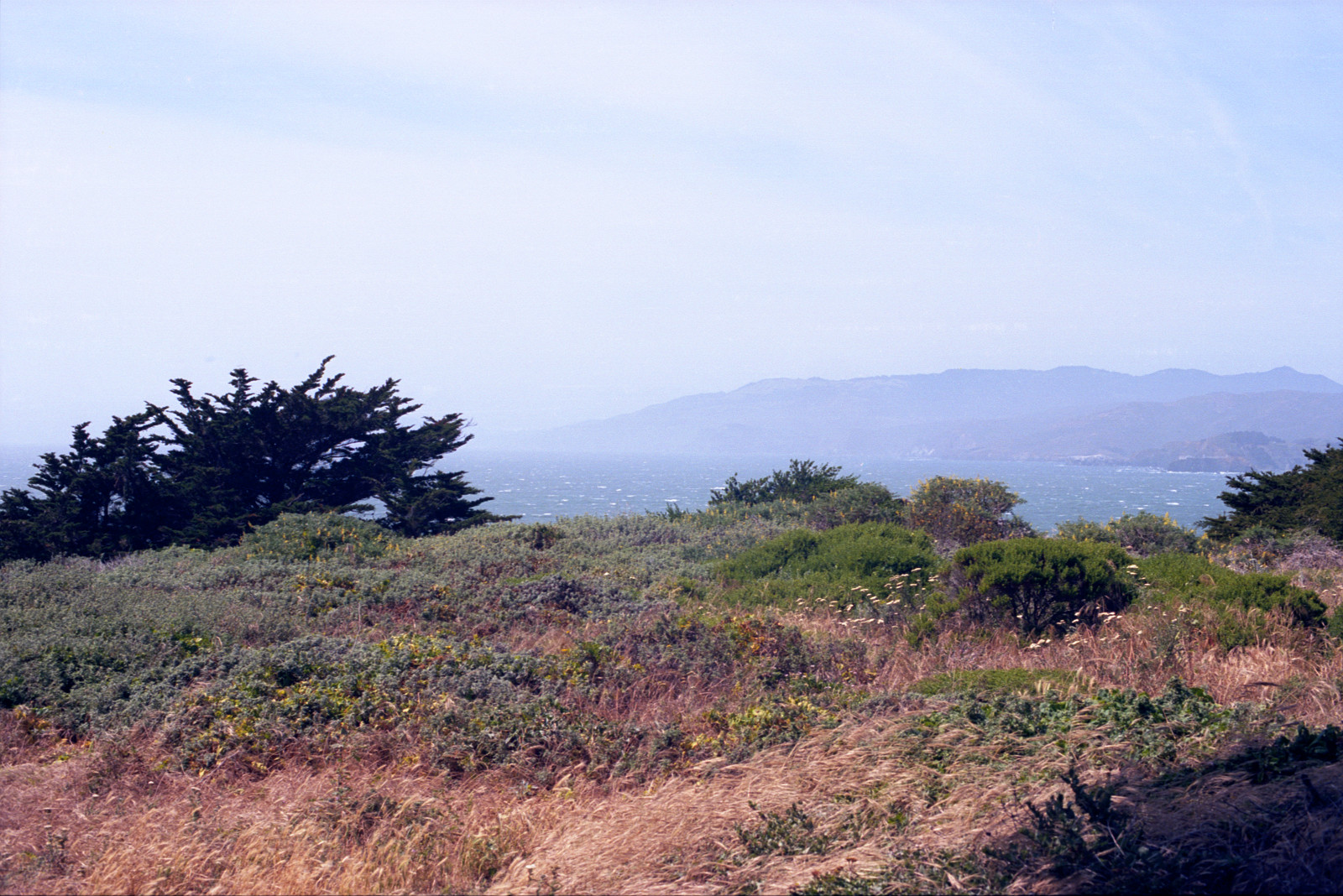 View from Lands End, San Francisco, to Marin Headlands.
