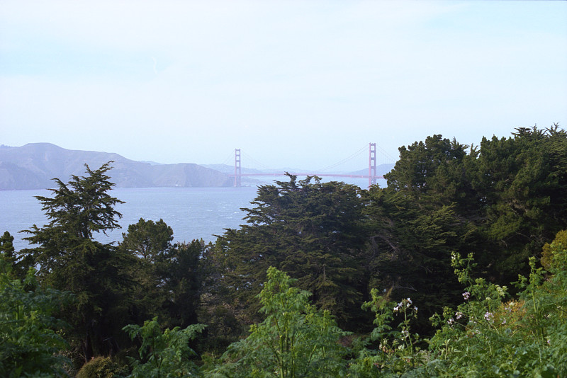 View of Golden Gate Bridge from the Legion of Honor, San Francisco