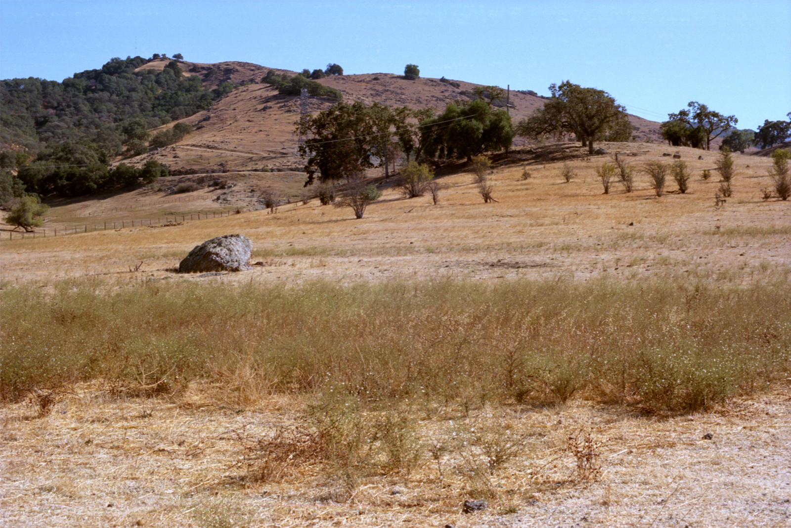 The boulder rises from pastureland near Mckean Road. Farther away, the land slopes up into a hillock at upper left, a forest of oaks filling the ravine running down toward the camera. More oaks closer in. No more comfortable landscape, for my money.