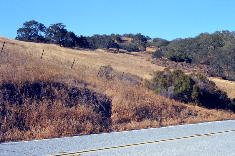 Oak woodland hillside along McKean Road, Santa Clara County south of Almaden Valley. A little barbed-wire fence stands on the hillside near the road. The fenceposts run orthogonal to the slope and not to the horizon. That works for me.