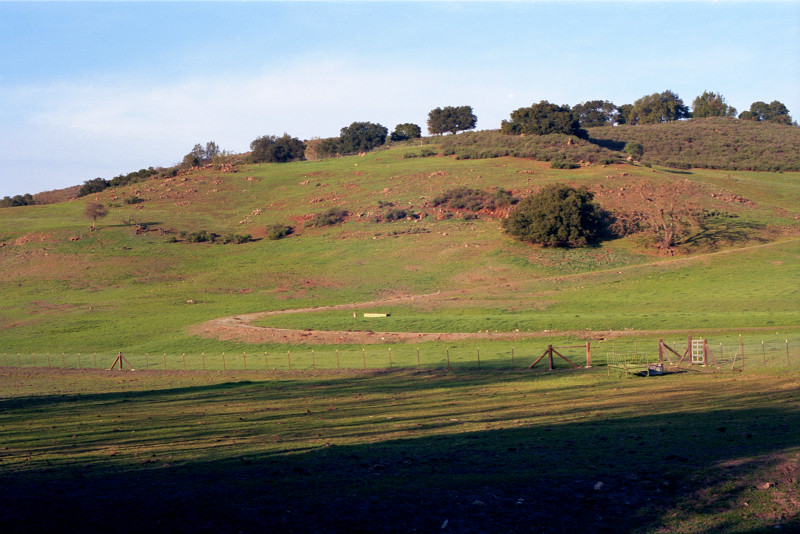 Sky some blue some white covers this grassy hill. A dirt road curves now right, now left, as it ascends to the top to meet up with some oaks standing on the summit. Shadows at bottom of the picture will soon ascend the hill. Near Mckean Road.