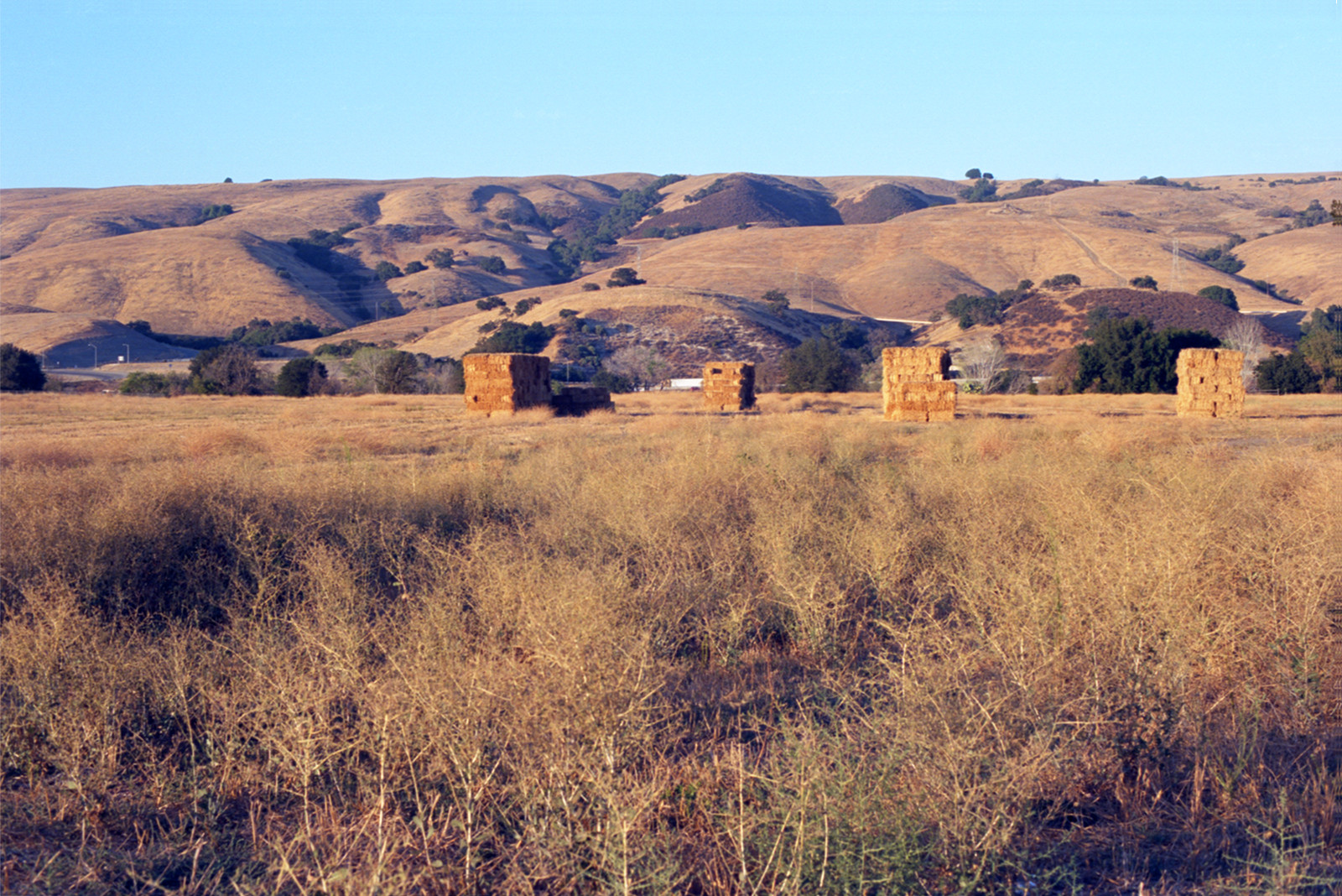 Bales of hay stacked up in a field along Monterey Highway; farther back, the hills in summer tan and the ravines populated with stands of oaks. This is beloved country to me, for the restfulness and the warmth of those hills.