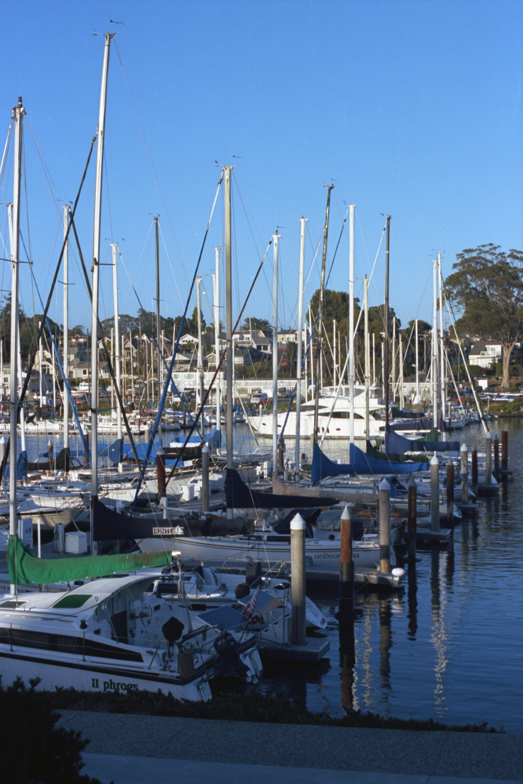At the Santa Cruz Yacht Harbor looking toward the north; shadows moving in as night approaches. All boats appear to be secured for the evening.