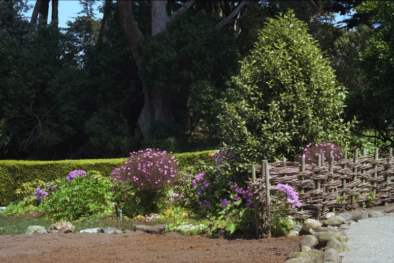 Garden at Windmill Wilhelmina.