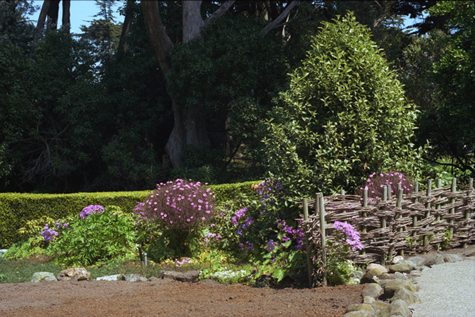 Garden at Windmill Wilhelmina.