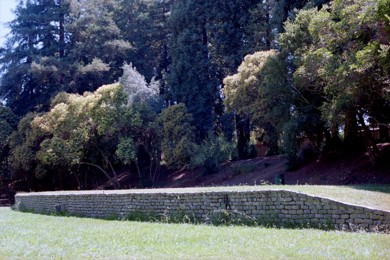 Willow Glen Forest Ramp, Willow Glen Park
