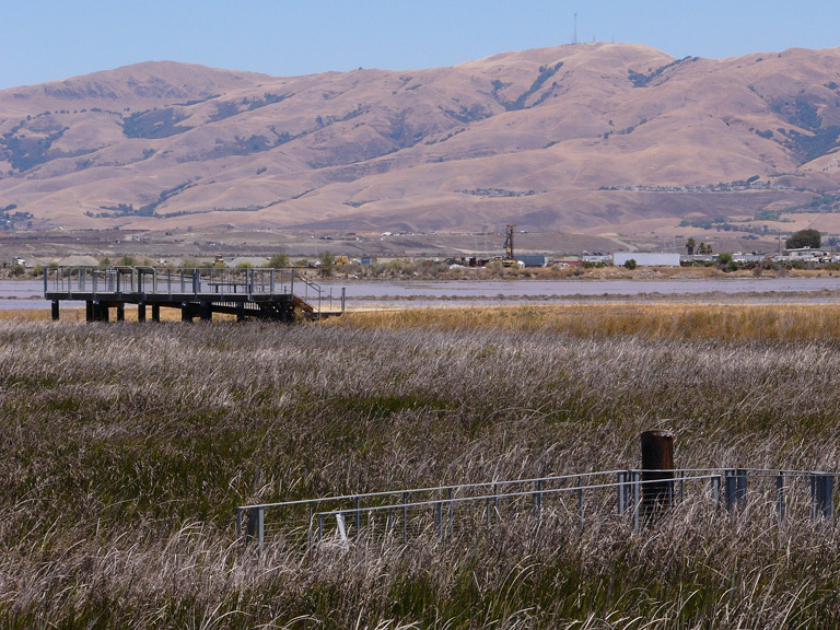 Boardwalk gate at Don Edwards Wildlife Refuge.